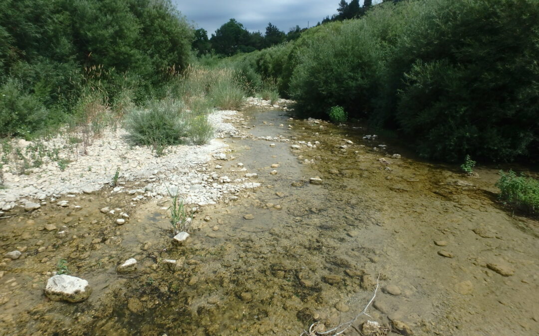 Hausse du niveau d’alerte sur le Verdouble pour la partie Audoise du bassin versant !