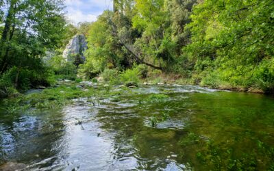SUIVI HYDROLOGIQUE DU BASSIN VERSANT DE L’AGLY : RÉSULTATS DE LA CAMPAGNE PARTIELLE DU 27 MAI 2025