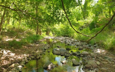 SUIVI HYDROLOGIQUE DU BASSIN VERSANT DE L’AGLY : RÉSULTATS DE LA CAMPAGNE DES 7 ET 8 JUILLET 2025