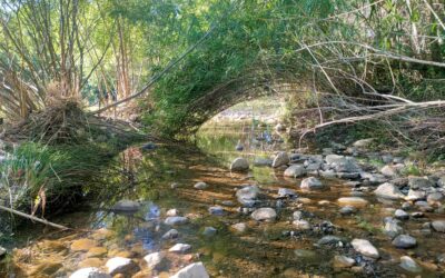SUIVI HYDROLOGIQUE DU BASSIN VERSANT DE L’AGLY : RÉSULTATS DE LA CAMPAGNE DES 21 ET 22 JUILLET 2025