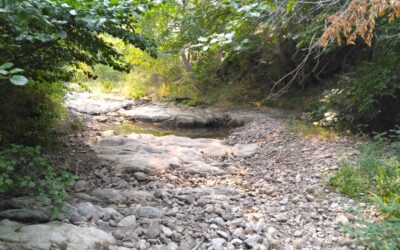 SUIVI HYDROLOGIQUE DU BASSIN VERSANT DE L’AGLY : RÉSULTATS DE LA CAMPAGNE DES 18 ET 19 AOUT 2025