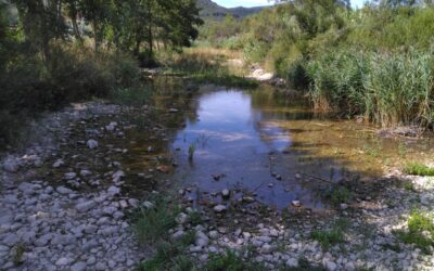 SUIVI HYDROLOGIQUE DU BASSIN VERSANT DE L’AGLY : RÉSULTATS DE LA CAMPAGNE DES 1 ET 2 SEPTEMBRE 2025