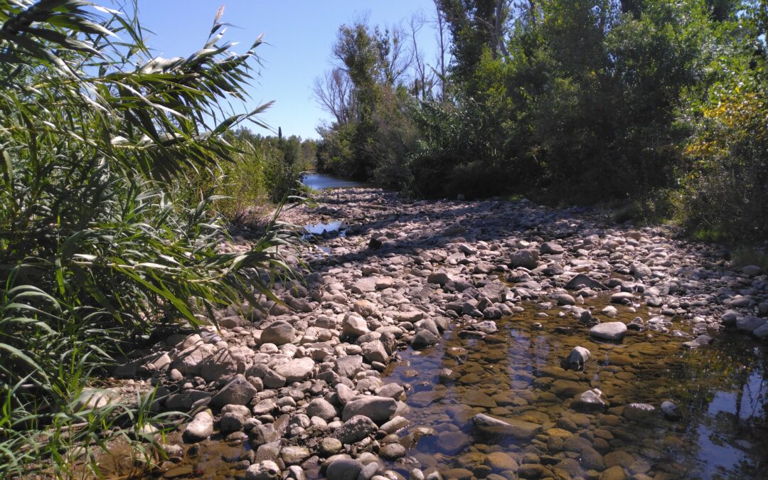 SUIVI HYDROLOGIQUE DU BASSIN VERSANT DE L’AGLY : RÉSULTATS DE LA CAMPAGNE DES 22 ET 23 SEPTEMBRE 2025
