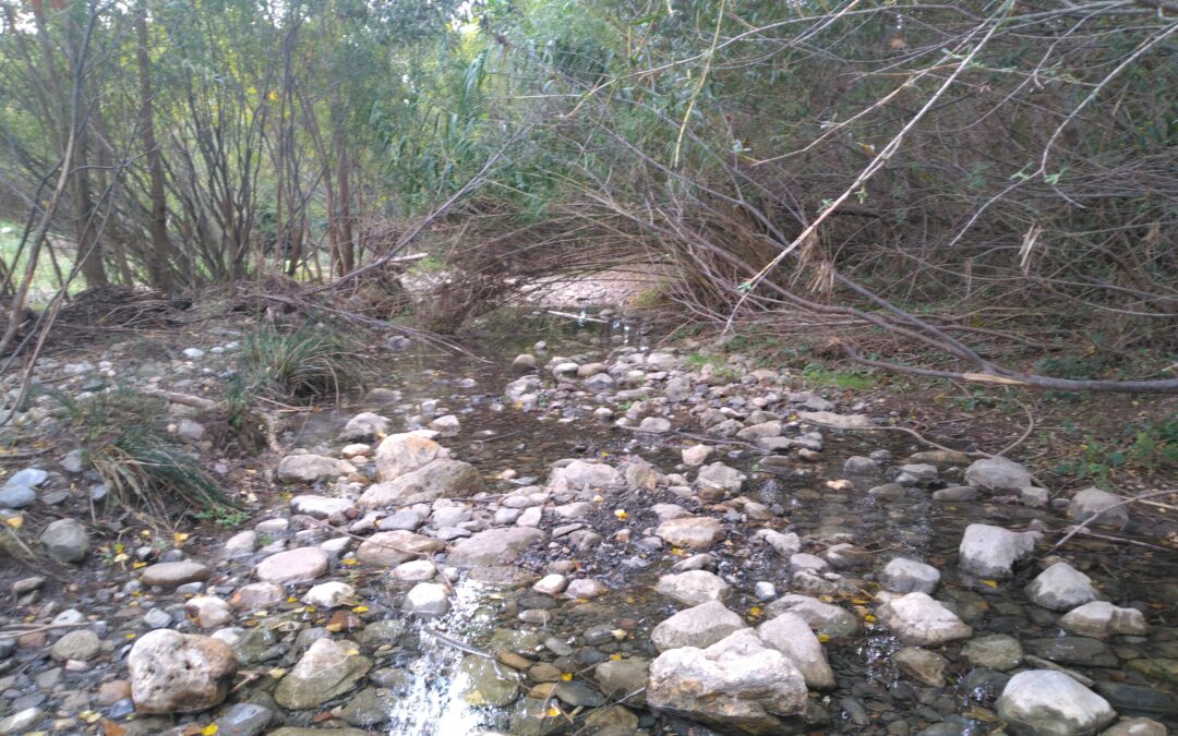 SUIVI HYDROLOGIQUE DU BASSIN VERSANT DE L’AGLY : RÉSULTATS DE LA CAMPAGNE DU 24 NOVEMBRE 2025