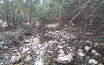 SUIVI HYDROLOGIQUE DU BASSIN VERSANT DE L’AGLY : RÉSULTATS DE LA CAMPAGNE DU 24 NOVEMBRE 2025