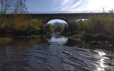 SUIVI HYDROLOGIQUE DU BASSIN VERSANT DE L’AGLY : RÉSULTATS DE LA CAMPAGNE DES 4 ET 5 NOVEMBRE 2025