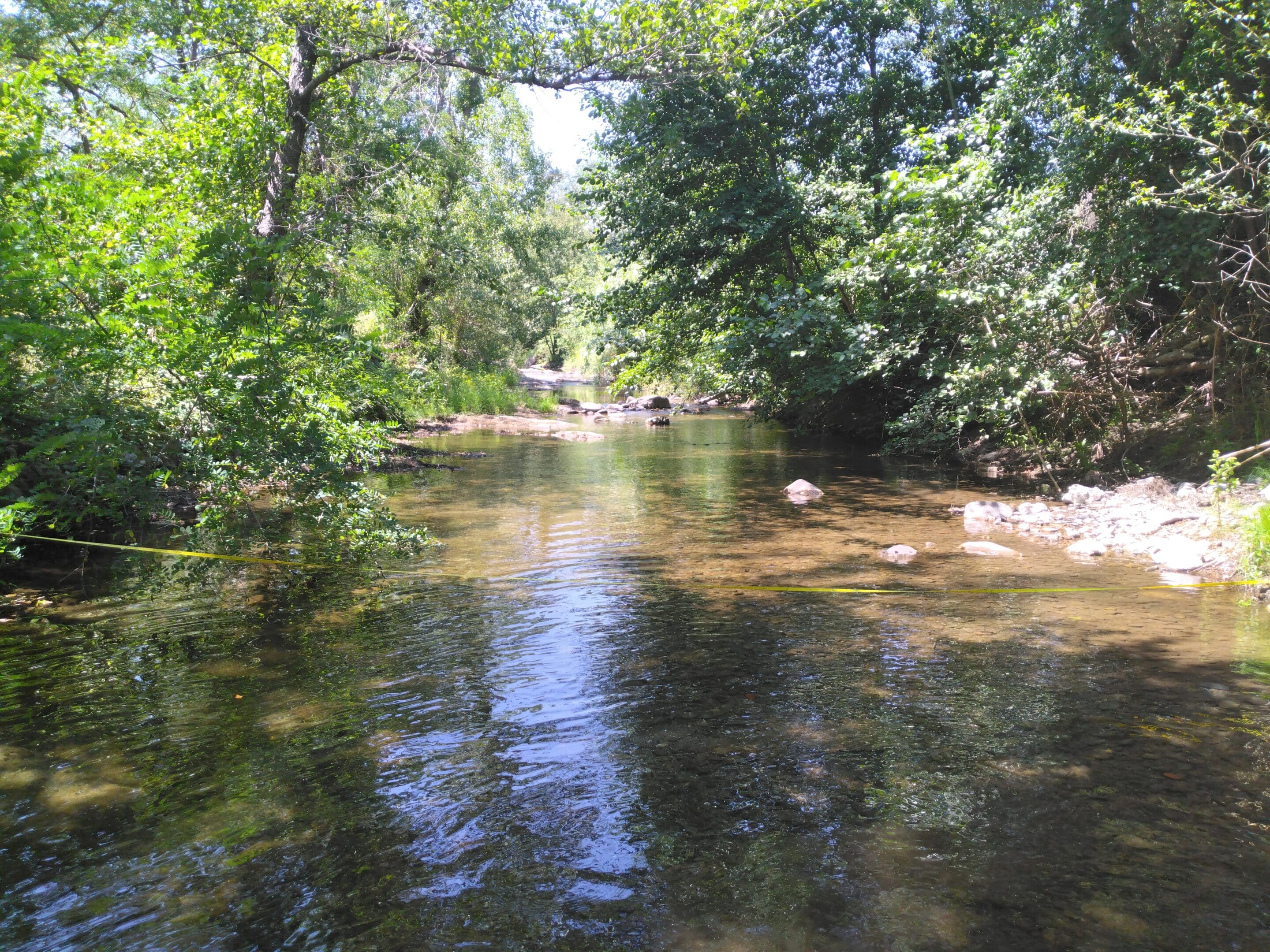 IMG_20260708_150146