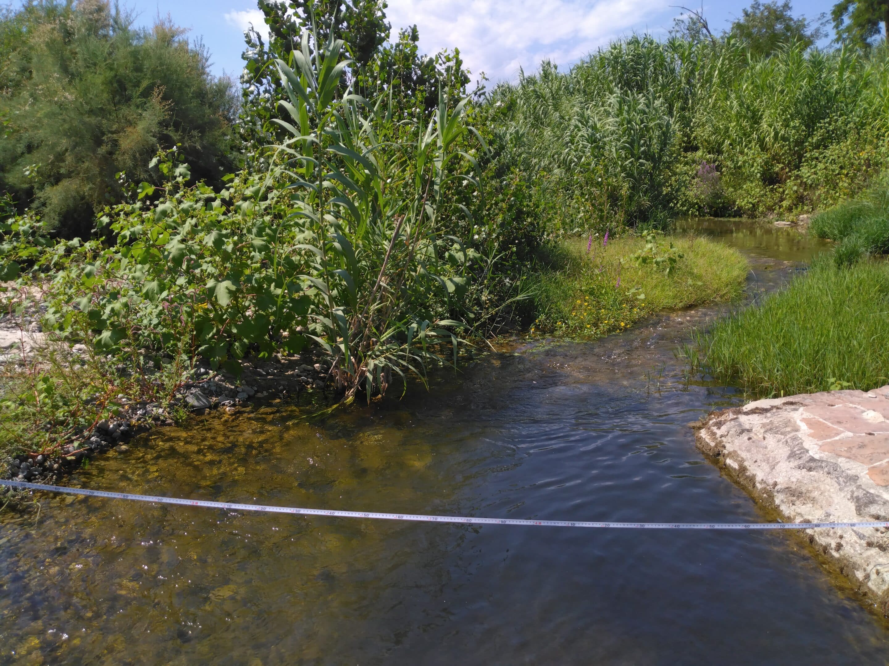 IMG_20260901_135157