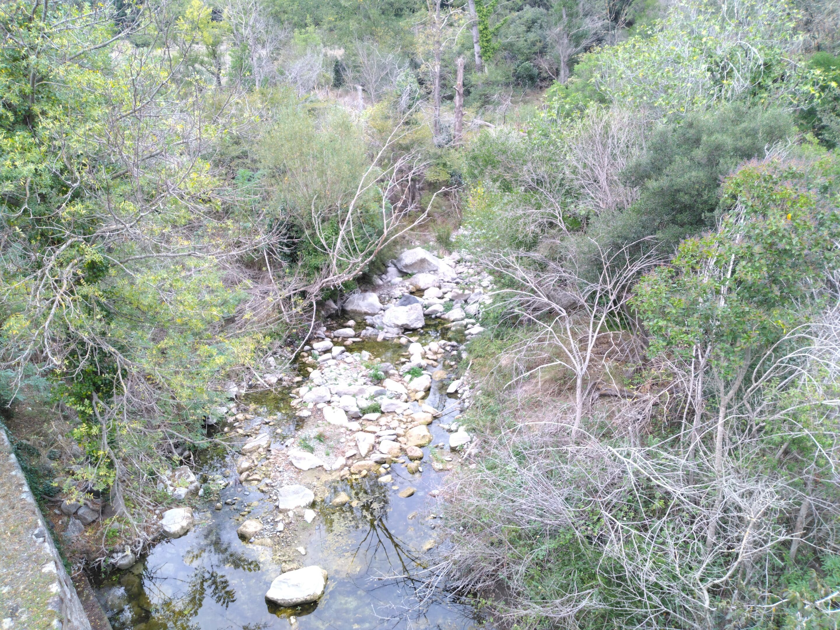Matassa (3)